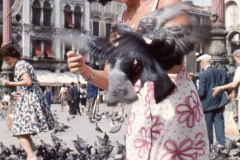 Venedig 1959