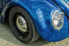 beetle