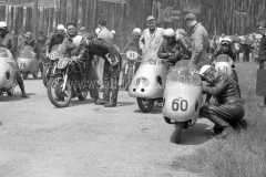 Krone_56_Hock_350056