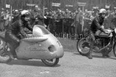 Krone_56_Hock_350064-Kopie