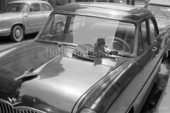 Krone_Paris_59_015