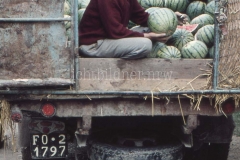 It_1959_183020320