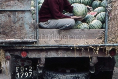 It_1959_183_bearbeitet-1020320