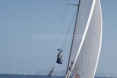 It_1959_196020320