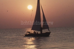 It_1959_205020320