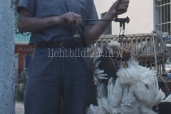 It_1959_221020320