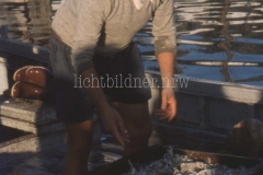 It_1959_236020320
