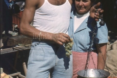 It_1959_254020320