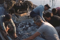 It_1959_262020320