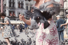 It_1959_278020320