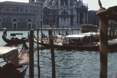 It_1959_287020320